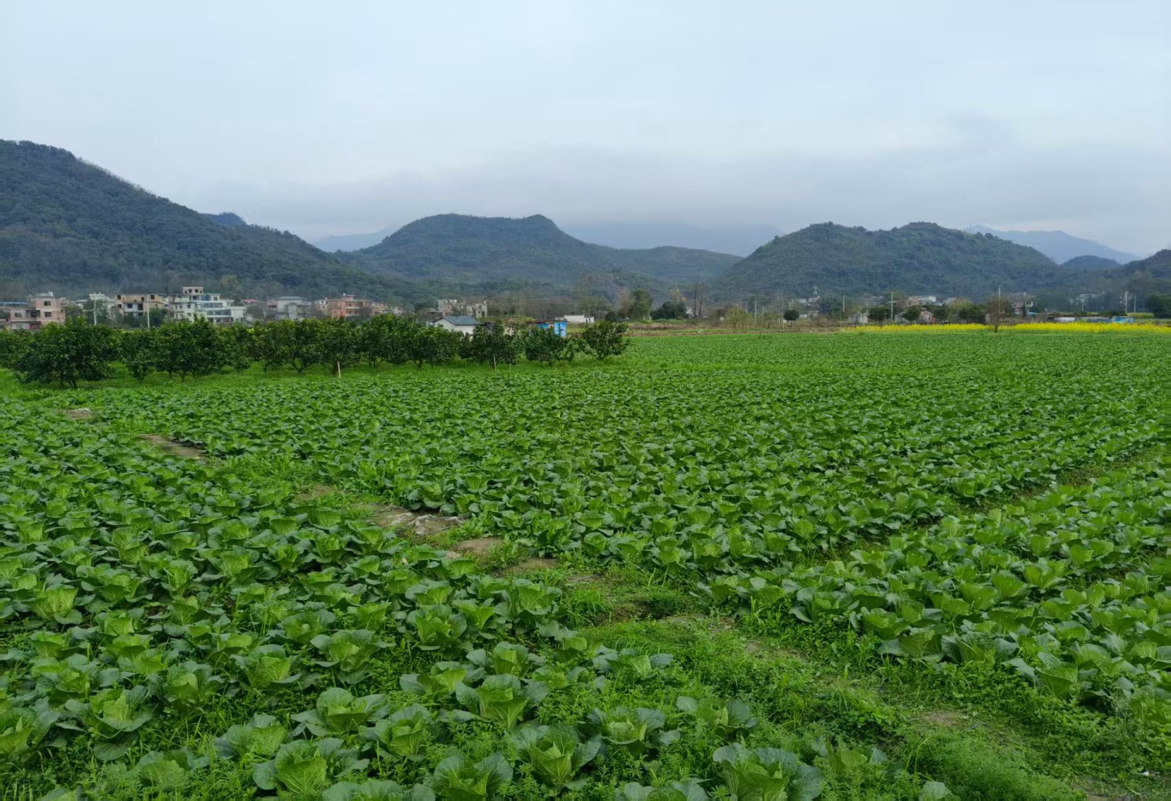 微信图片_20260306162053