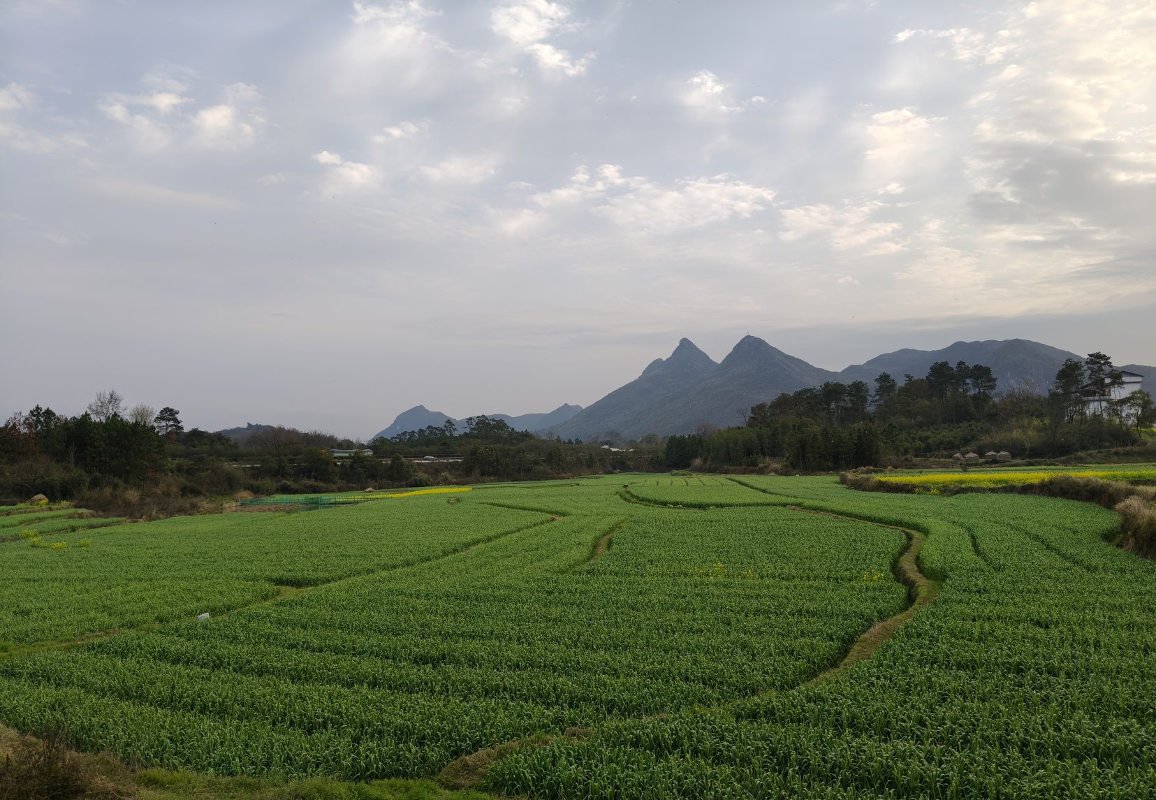 微信图片_20260306162652