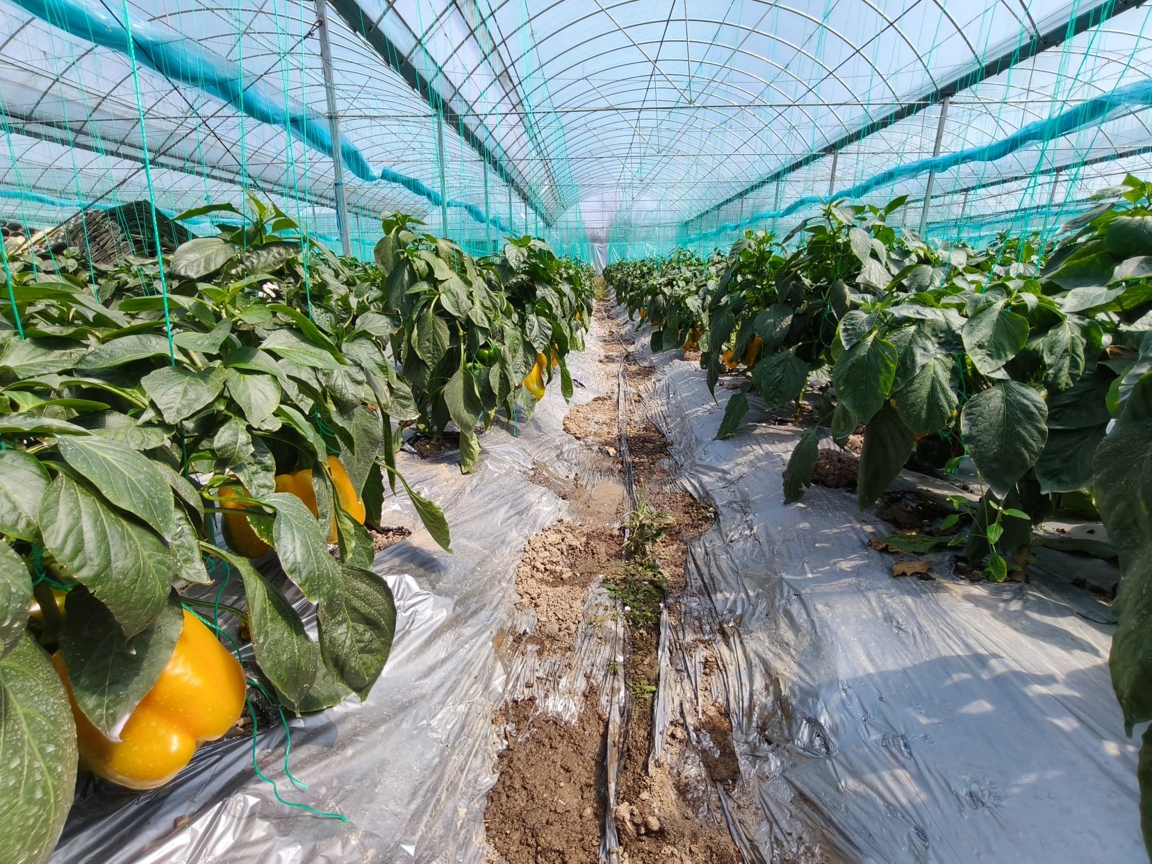 微信图片_20260306162351