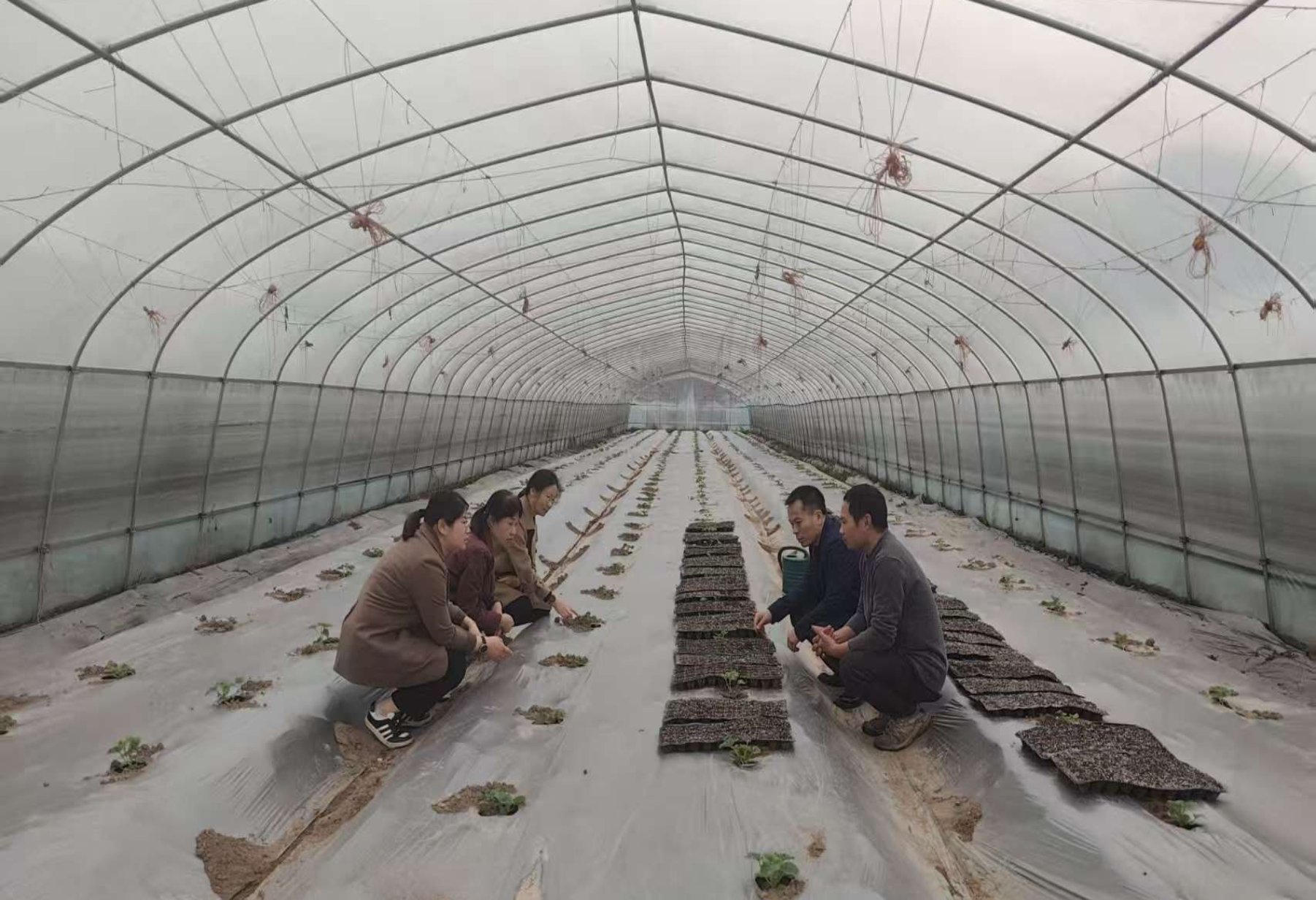 微信图片_20260404143253_4_59